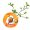 cropped-cropped-logo-white-1.jpg